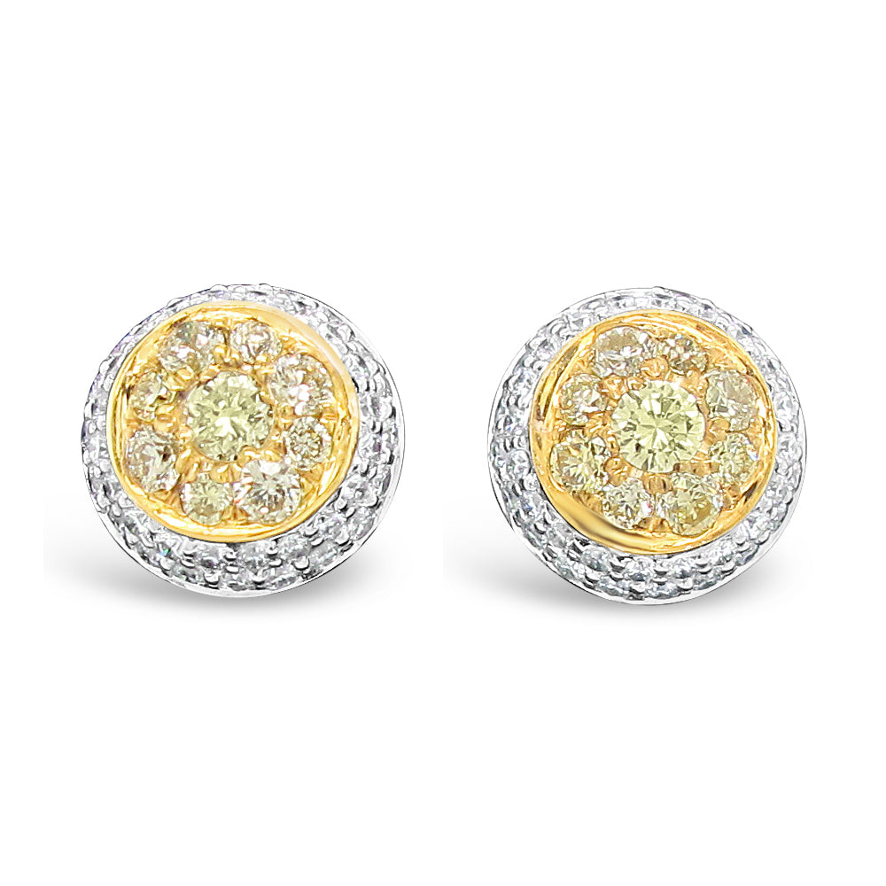 18k Two-tone Gold 5/8ct TDW Fancy Yellow and White Diamond Round Cluster Stud Earrings