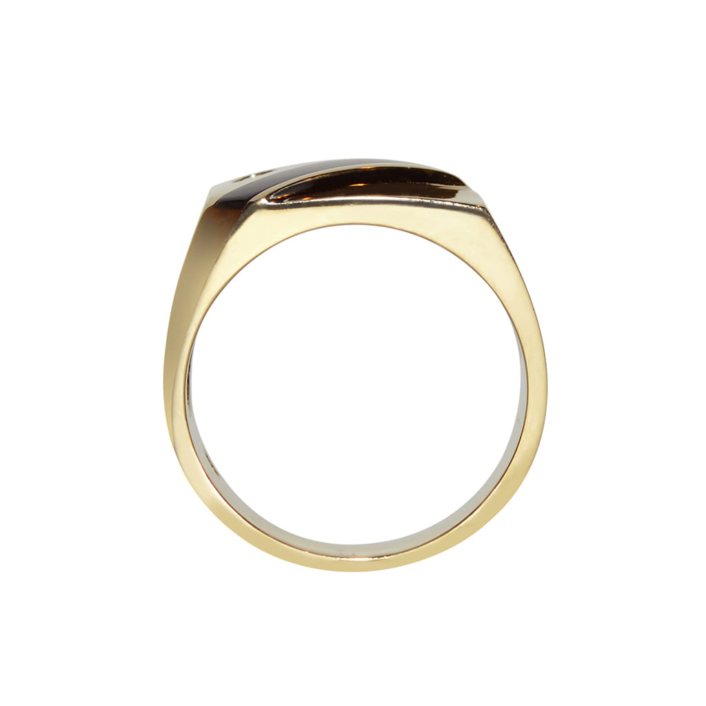 14k Yellow Gold Men's Onyx and Cubic Zirconia Ring